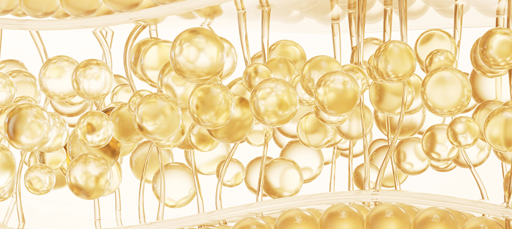 幹細胞脂肪移植