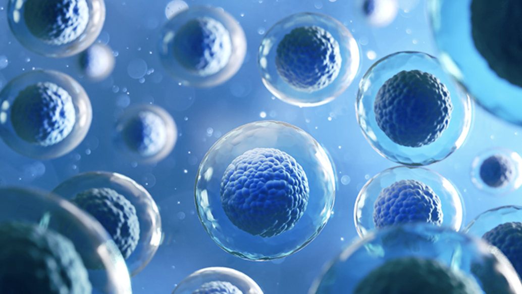 티모신 알파 1 치료