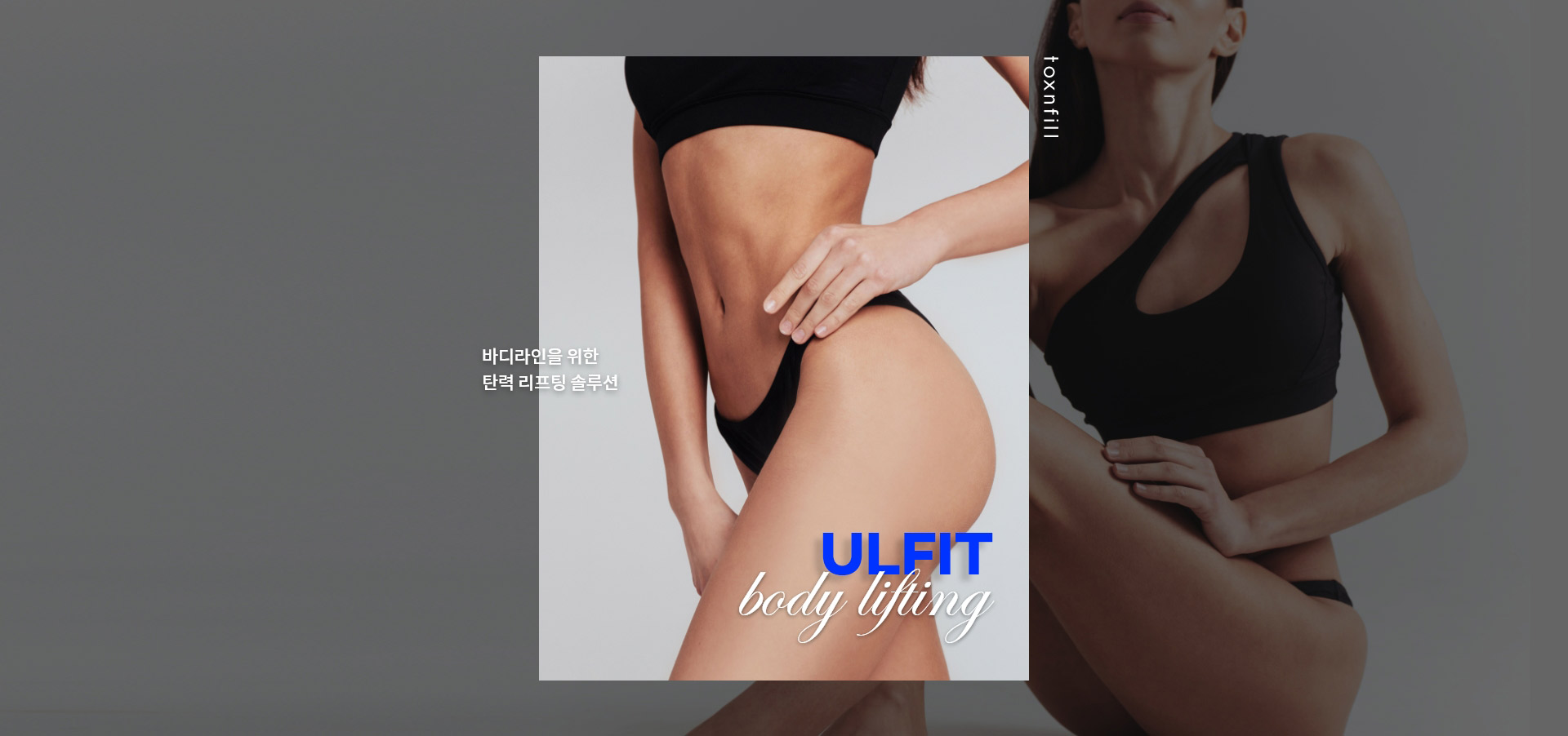 ウルフィットボディコントゥアリング