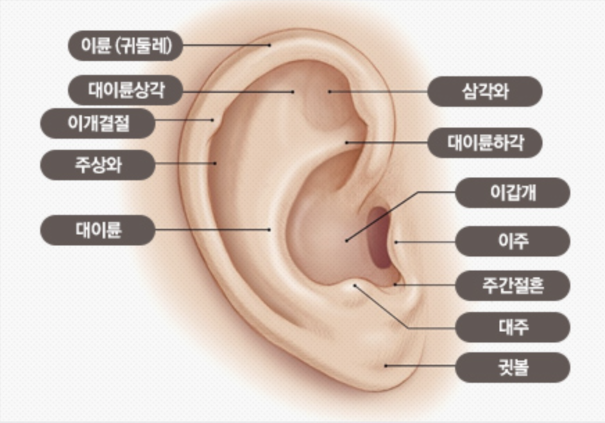기타 선천성 귀 기형 교정