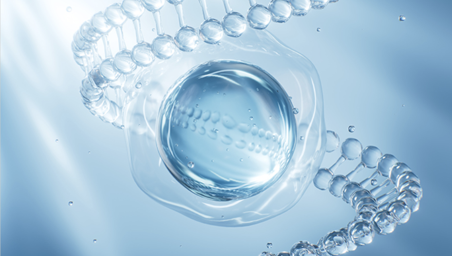 自己幹細胞抗加齢療法