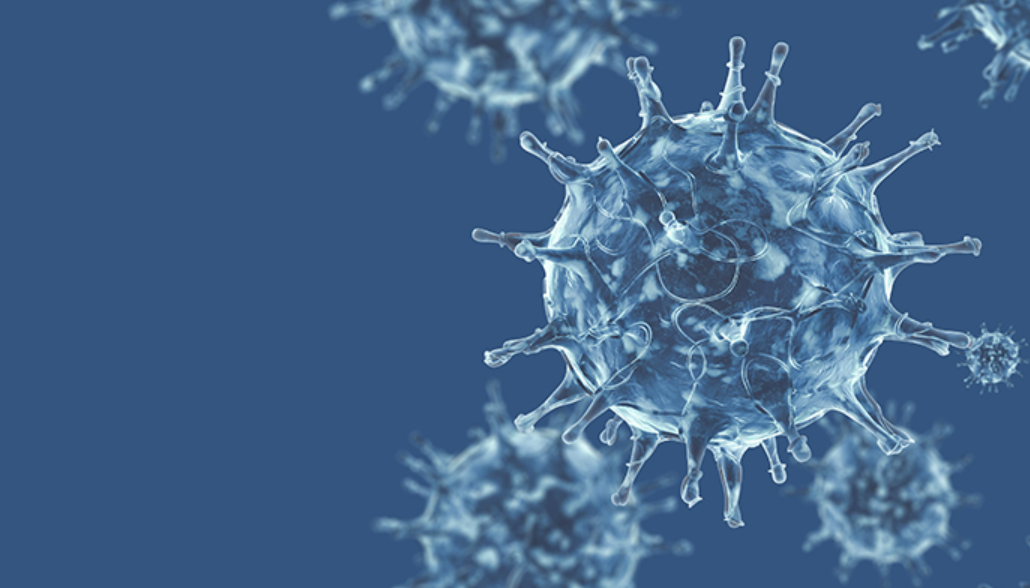 NK細胞免疫検査