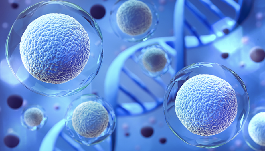 Anti-Aging Stem Cell Banking